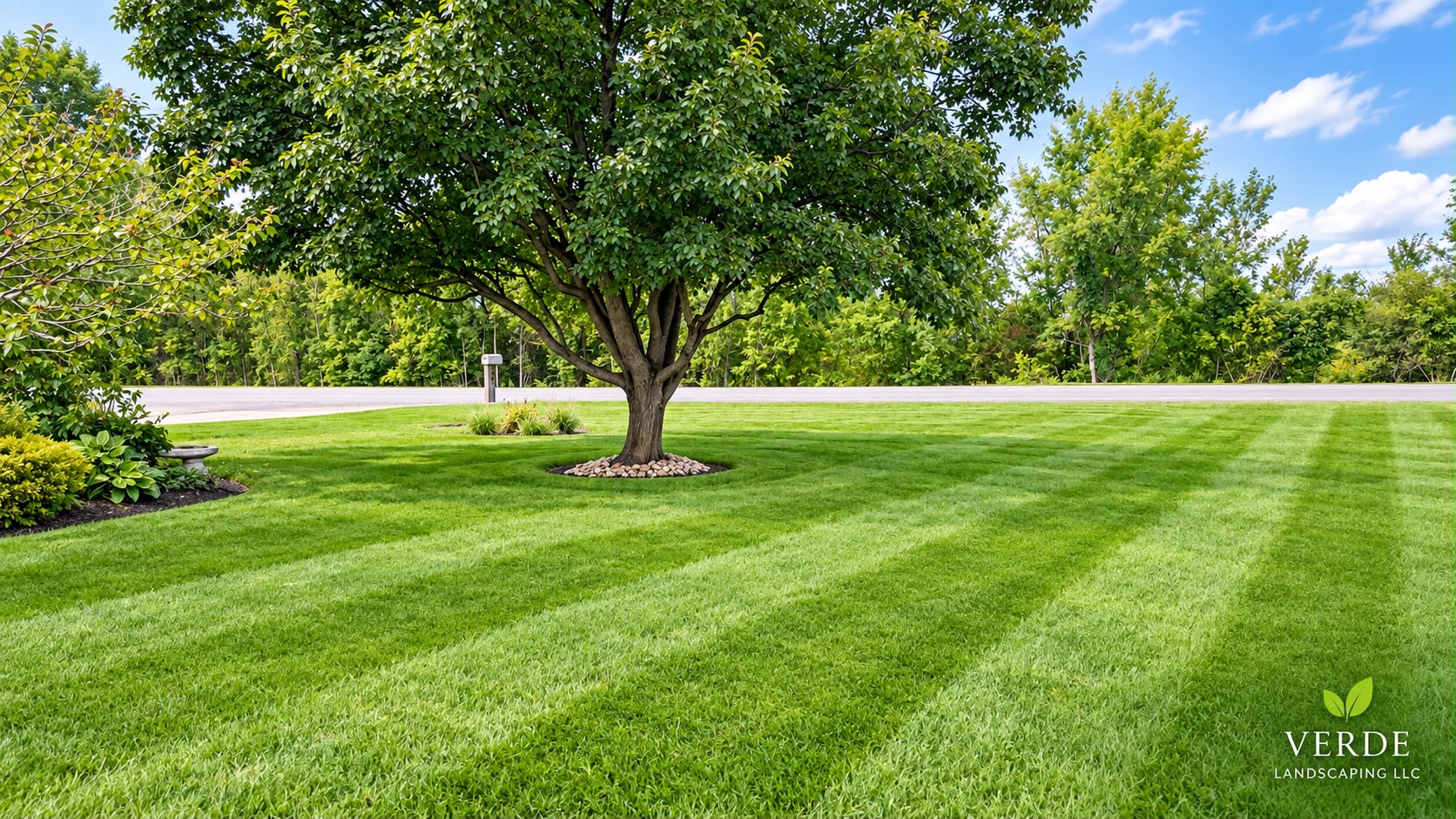 Green lawn